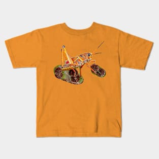 Colourful Grasshopper Kids T-Shirt